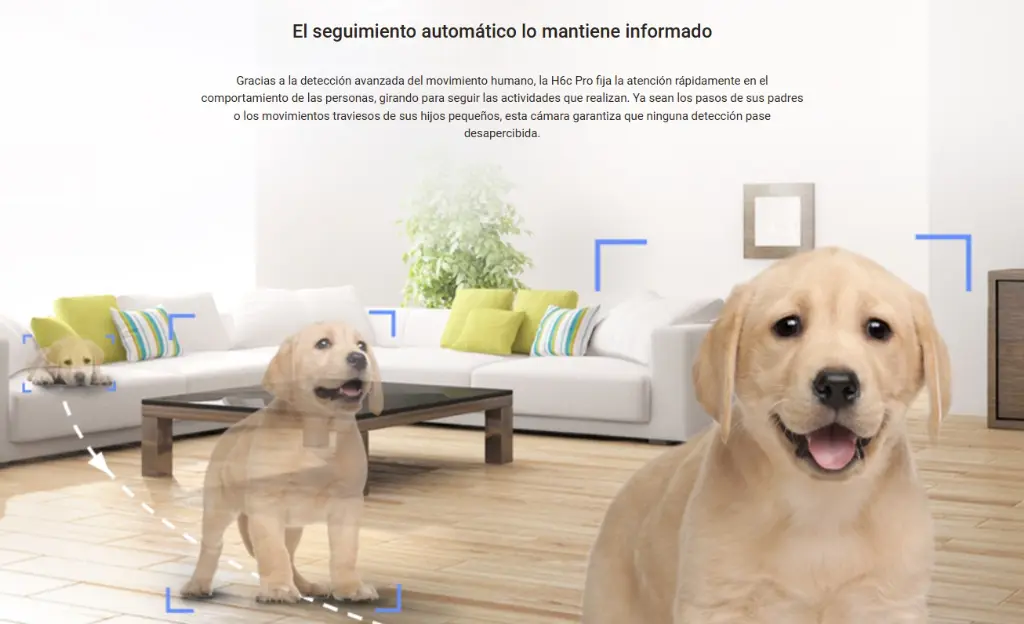 Screenshot_5.webp